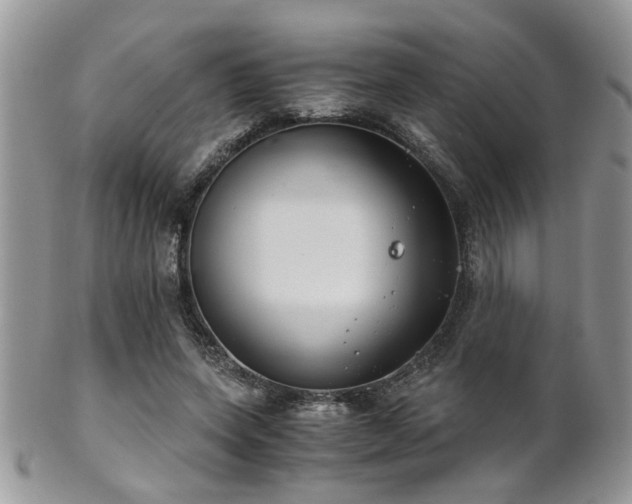 X0000102240543200807251302