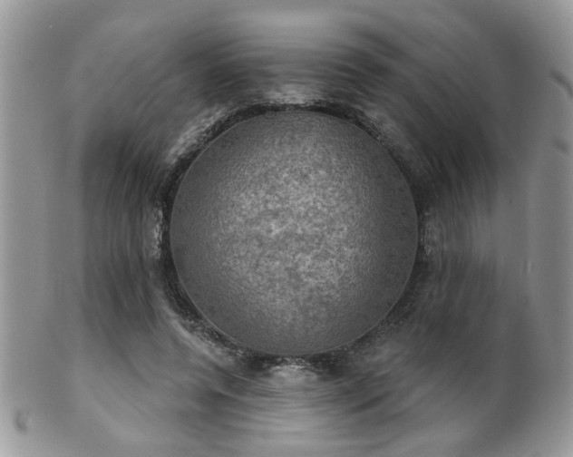 X0000102240544200807251302