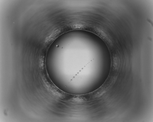 X0000102240545200807251302