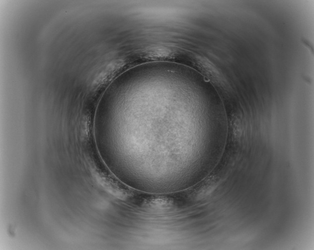 X0000102240546200807251302