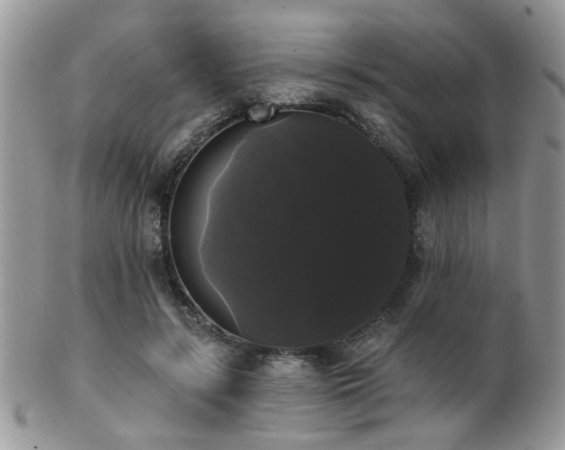 X0000102240547200807251302