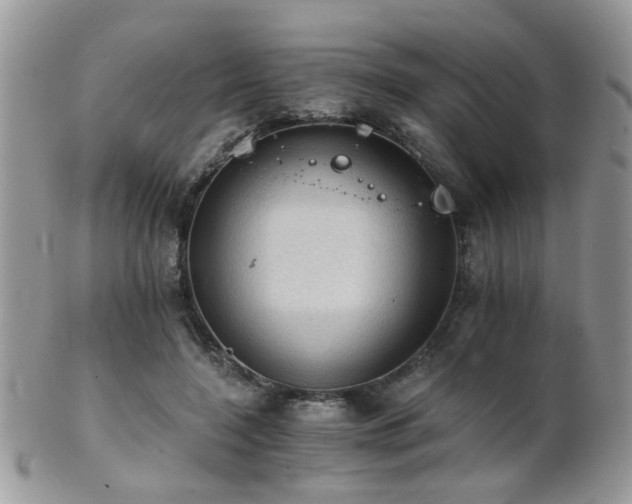 X0000102240548200807251302