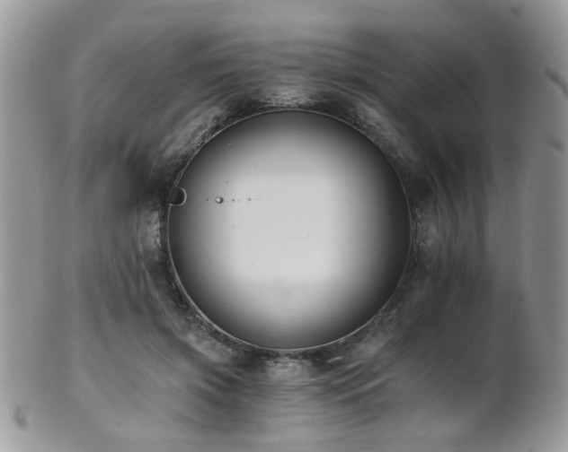 X0000102240549200807251302