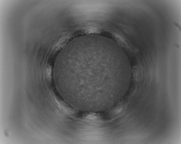 X0000102240550200807251302