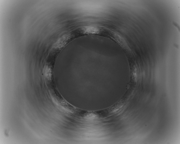 X0000102240551200807251302