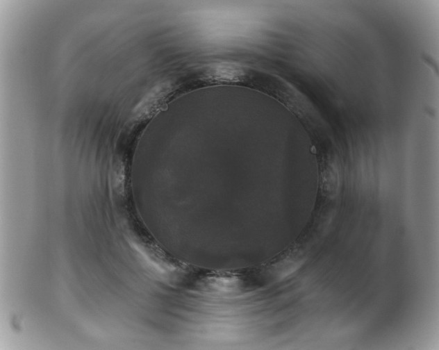 X0000102240552200807251302