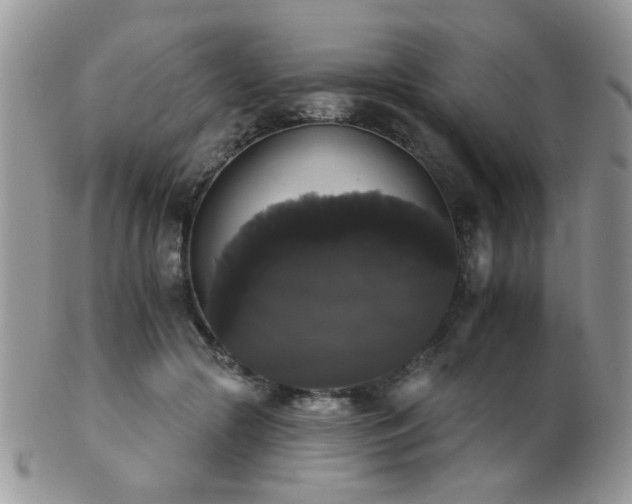 X0000102240553200807251302