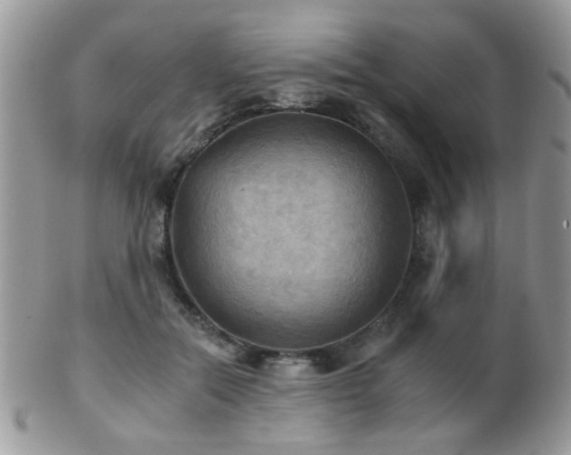 X0000102240554200807251302