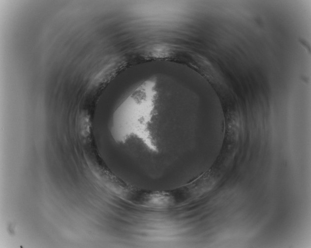 X0000102240555200807251302