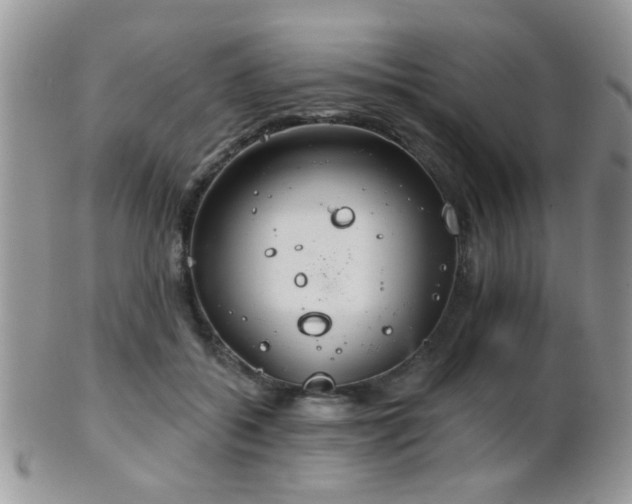 X0000102240556200807251302