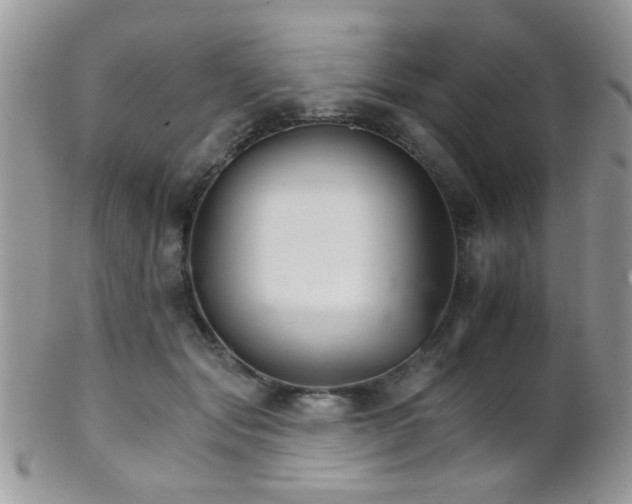 X0000102240557200807251302