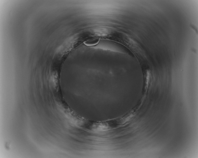 X0000102240559200807251302