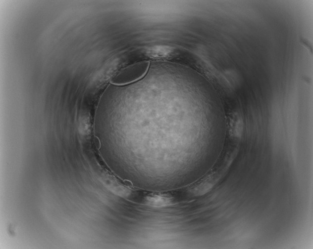 X0000102240561200807251302