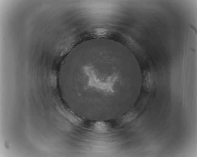 X0000102240562200807251302