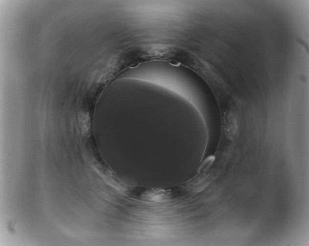 X0000102240563200807251302