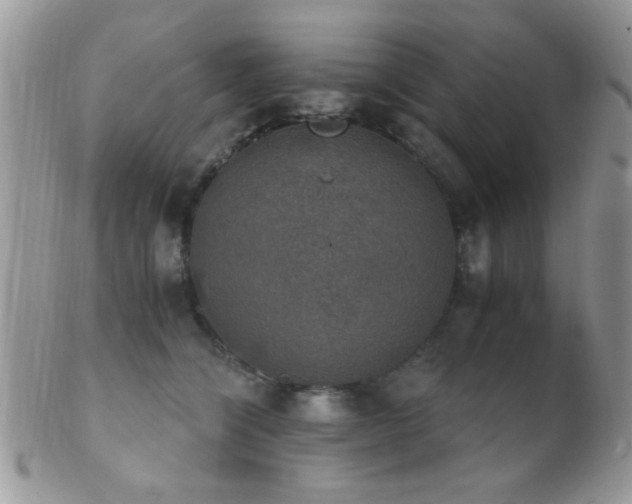 X0000102240564200807251302