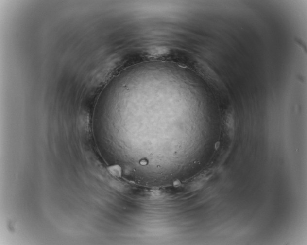 X0000102240565200807251302