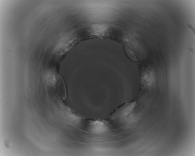 X0000102240566200807251302