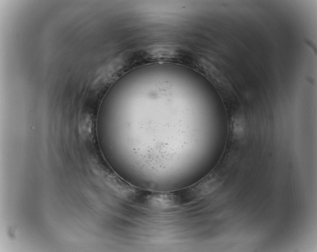 X0000102240567200807251302