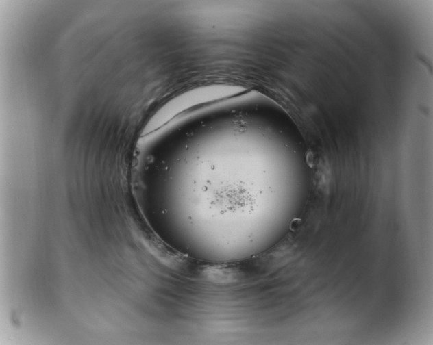 X0000102240568200807251302