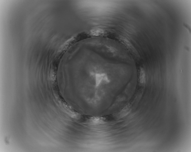 X0000102240569200807251302