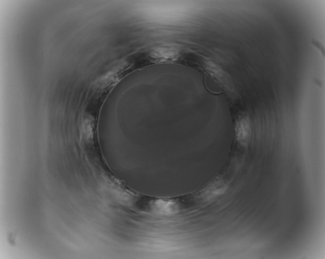 X0000102240570200807251302