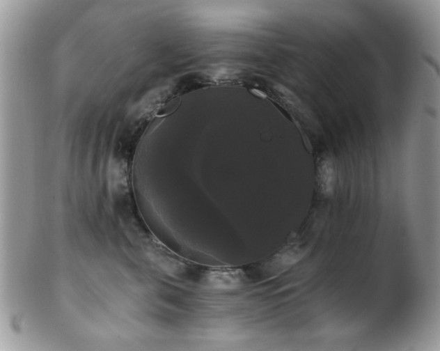 X0000102240571200807251302