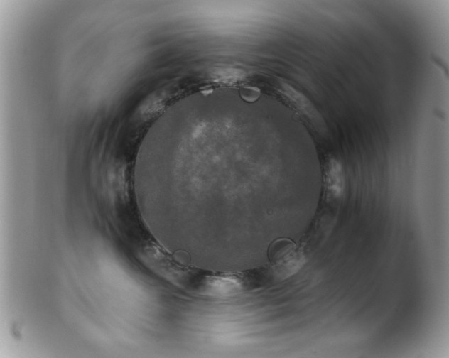 X0000102240572200807251302