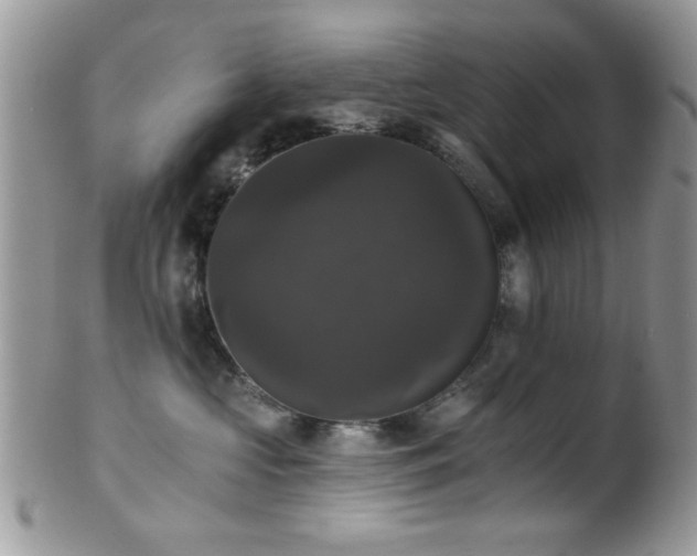 X0000102240573200807251302