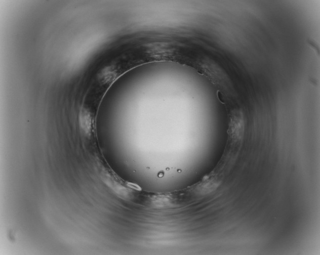 X0000102240574200807251302