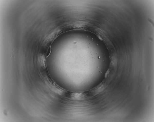 X0000102240575200807251302