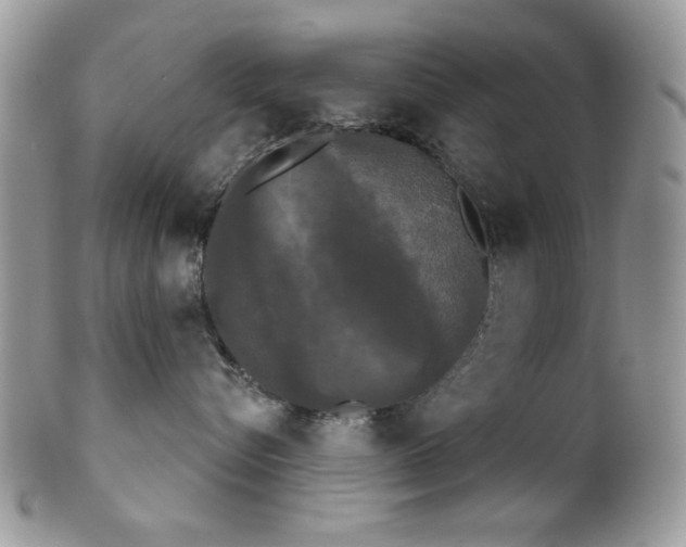 X0000102240576200807251302