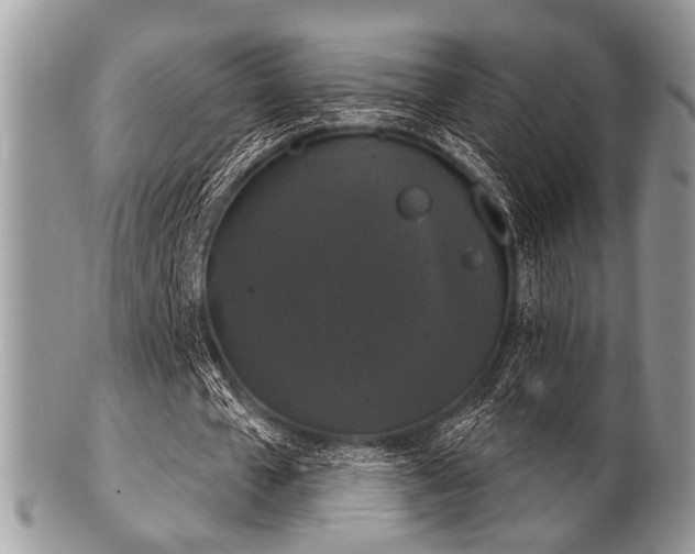 X0000102240577200807251301