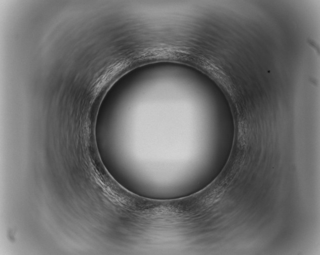 X0000102240578200807251301