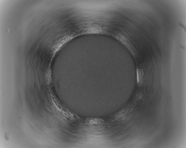 X0000102240579200807251301