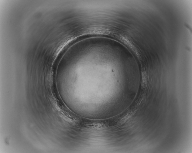 X0000102240580200807251301