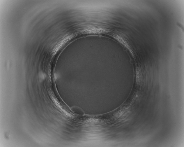 X0000102240581200807251301