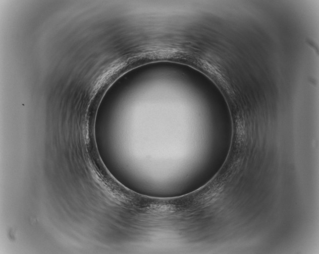 X0000102240582200807251301