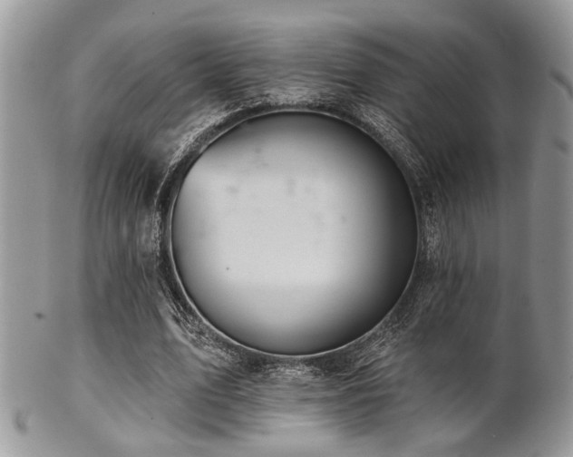 X0000102240583200807251301