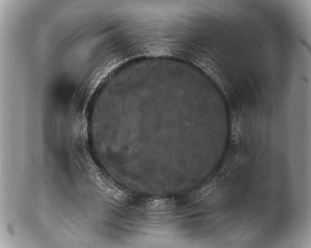 X0000102240584200807251301