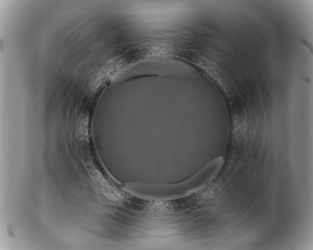 X0000102240585200807251301