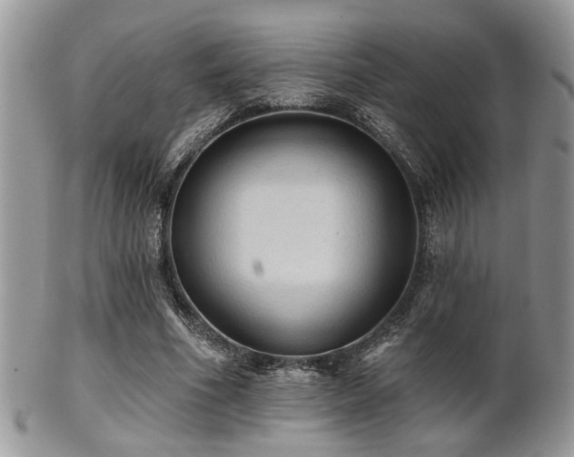 X0000102240586200807251301