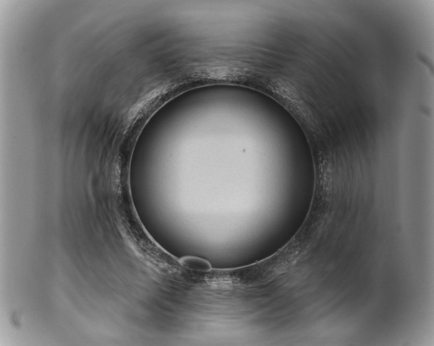 X0000102240587200807251301