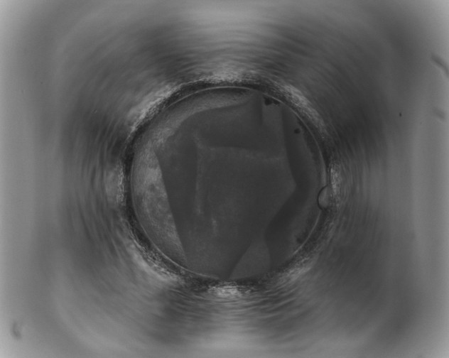 X0000102240588200807251301