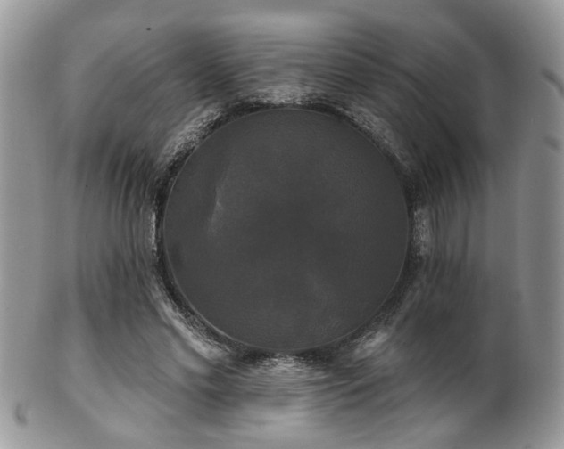 X0000102240589200807251301