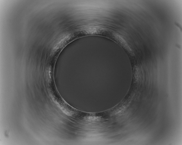 X0000102240590200807251301