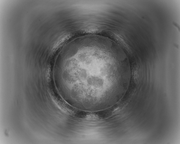 X0000102240591200807251301