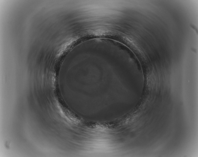 X0000102240592200807251301