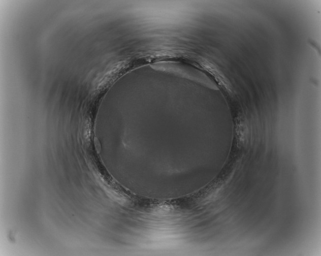 X0000102240593200807251301