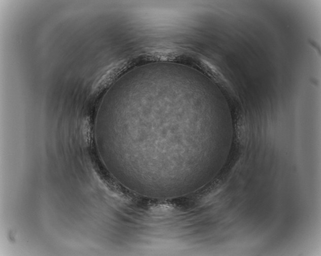 X0000102240594200807251301